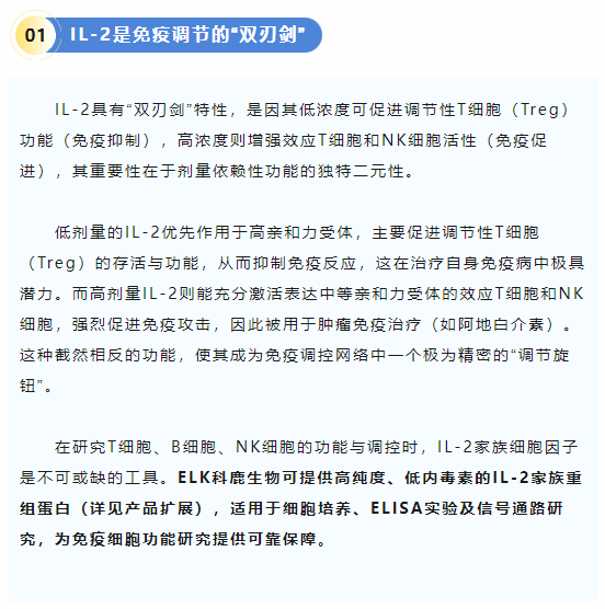意大利贵宾会-贵宾会官方网站入口