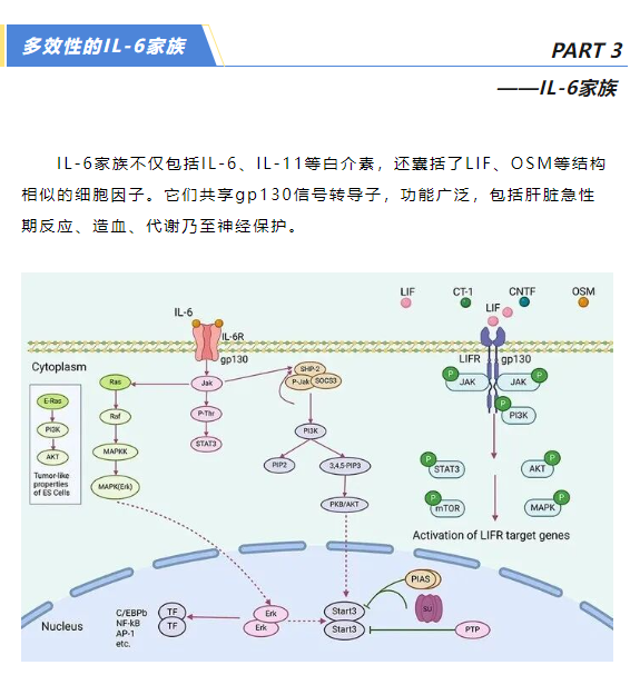 意大利贵宾会-贵宾会官方网站入口