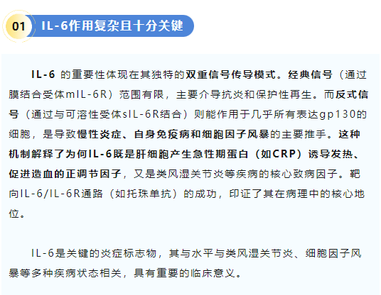 意大利贵宾会-贵宾会官方网站入口