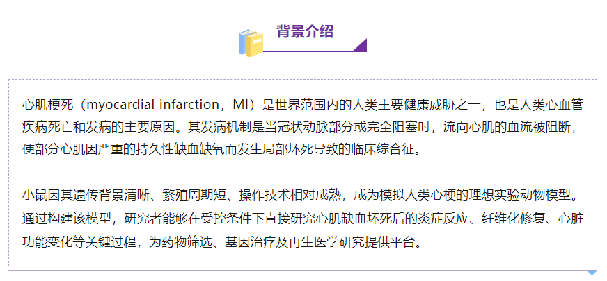 意大利贵宾会-贵宾会官方网站入口