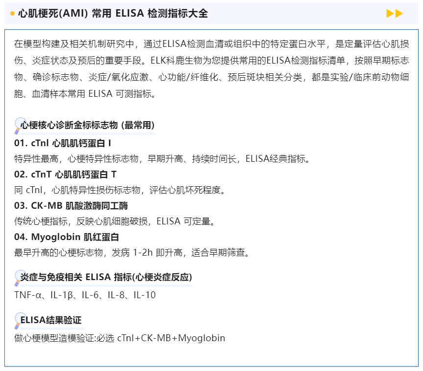 意大利贵宾会-贵宾会官方网站入口