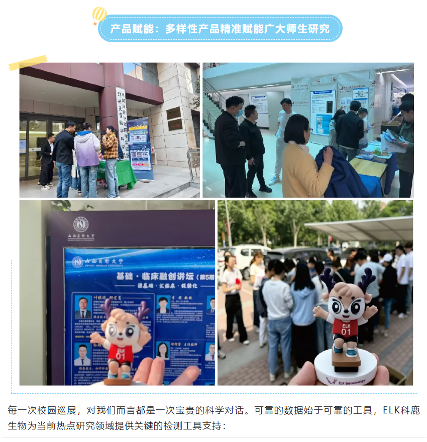 意大利贵宾会-贵宾会官方网站入口