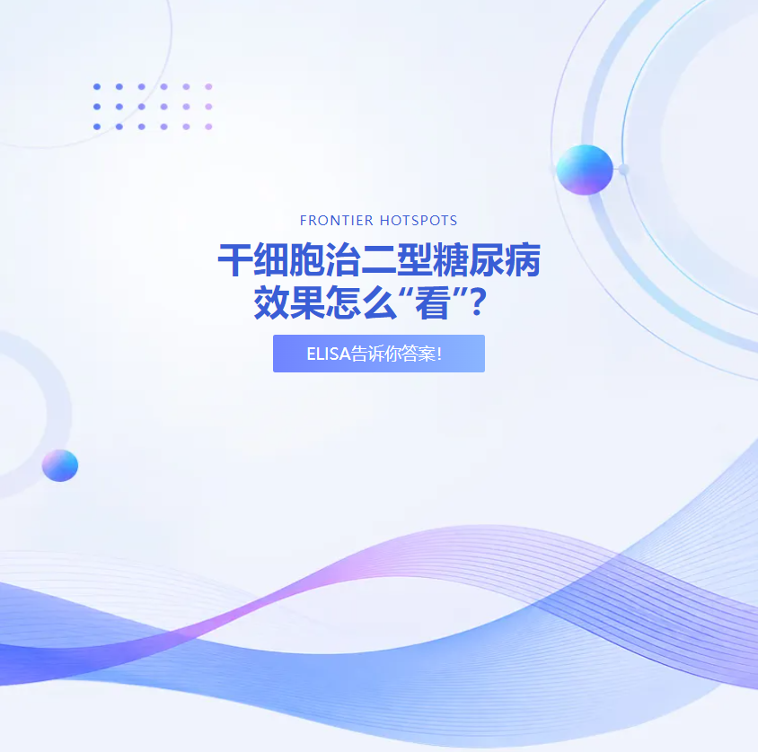 意大利贵宾会-贵宾会官方网站入口