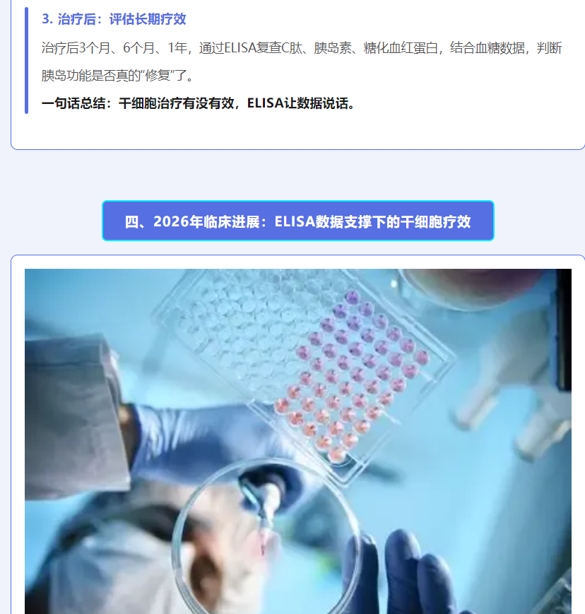 意大利贵宾会-贵宾会官方网站入口