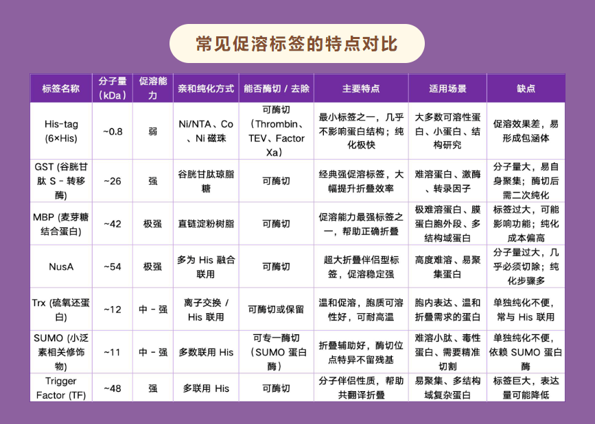 意大利贵宾会-贵宾会官方网站入口