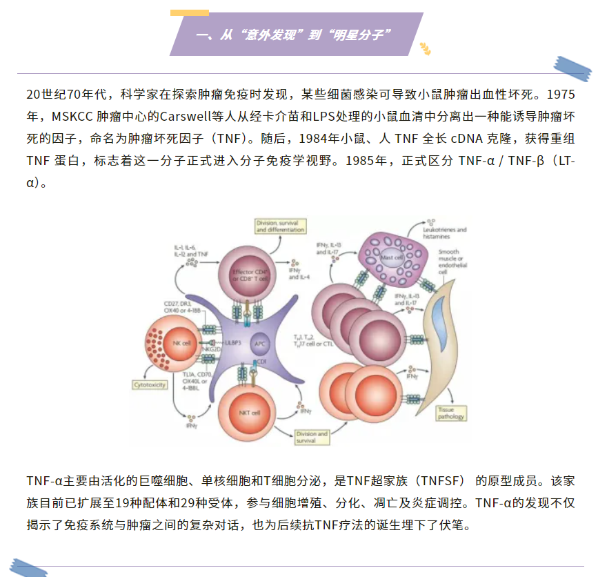 意大利贵宾会-贵宾会官方网站入口