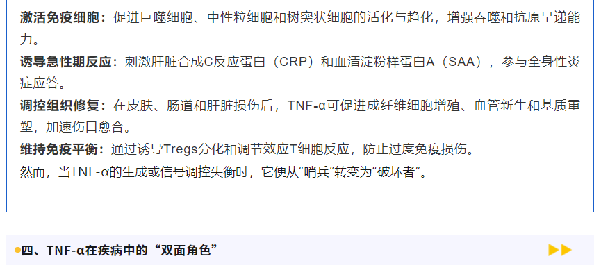 意大利贵宾会-贵宾会官方网站入口