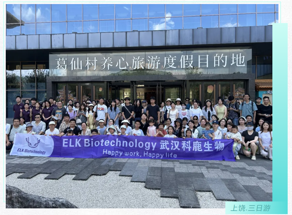 意大利贵宾会-贵宾会官方网站入口