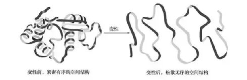 意大利贵宾会-贵宾会官方网站入口