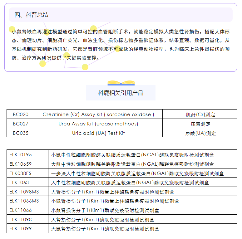 意大利贵宾会-贵宾会官方网站入口
