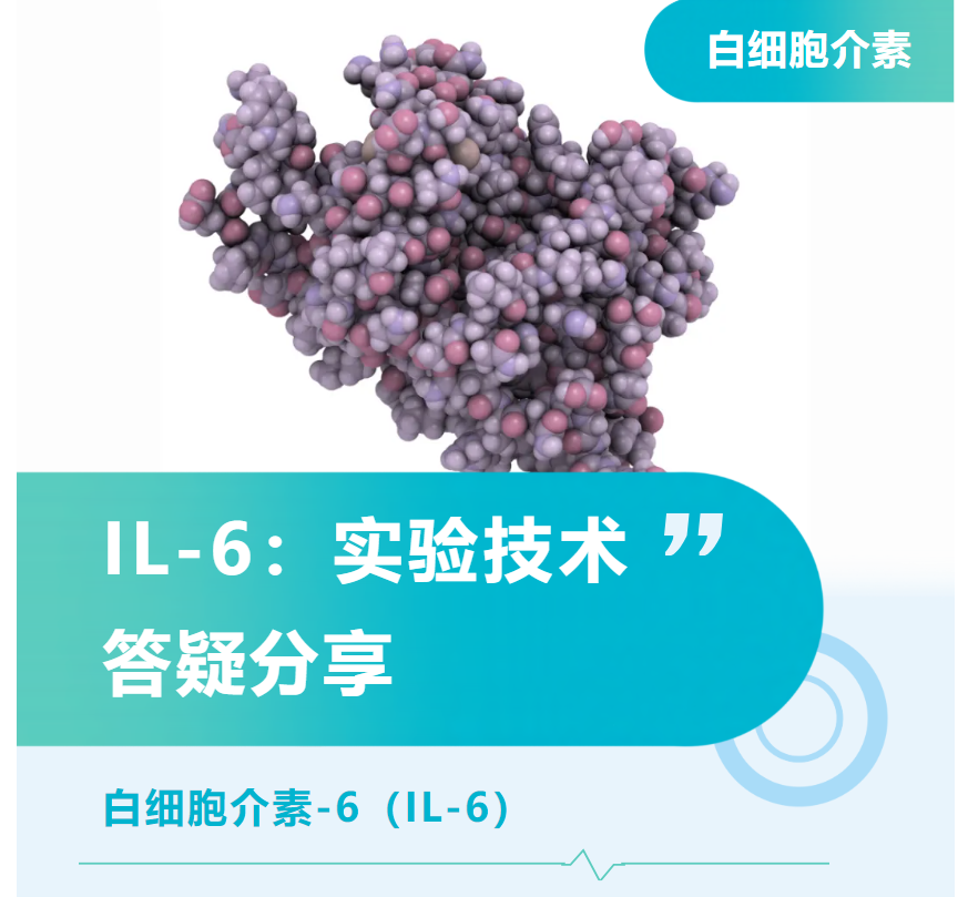 意大利贵宾会-贵宾会官方网站入口