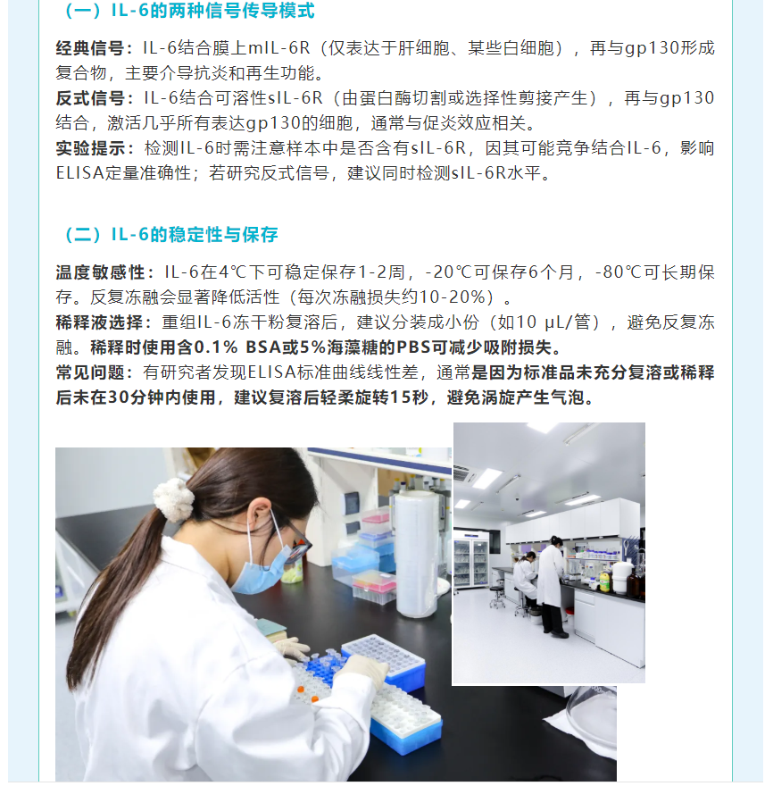意大利贵宾会-贵宾会官方网站入口