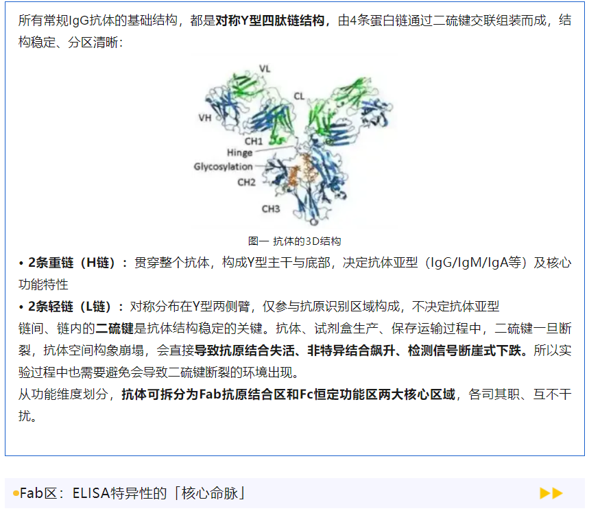 意大利贵宾会-贵宾会官方网站入口