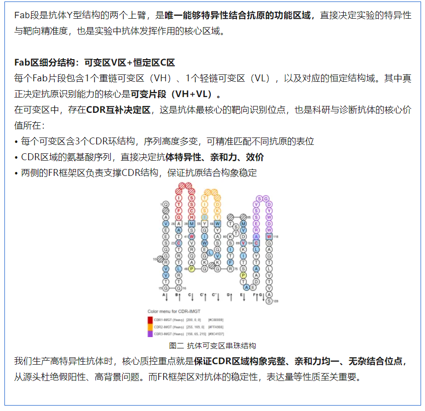 意大利贵宾会-贵宾会官方网站入口