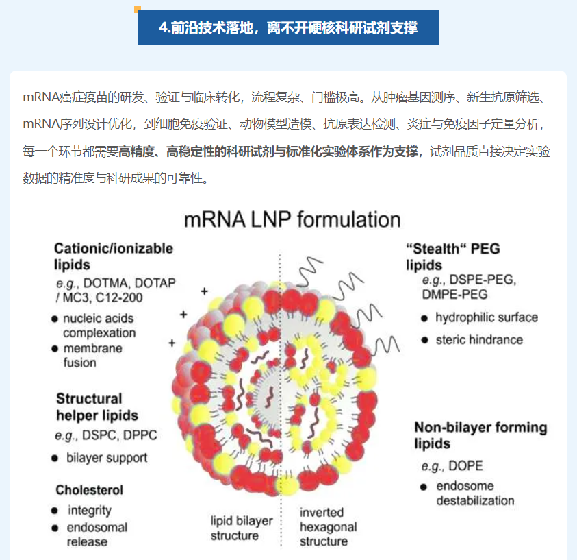 意大利贵宾会-贵宾会官方网站入口
