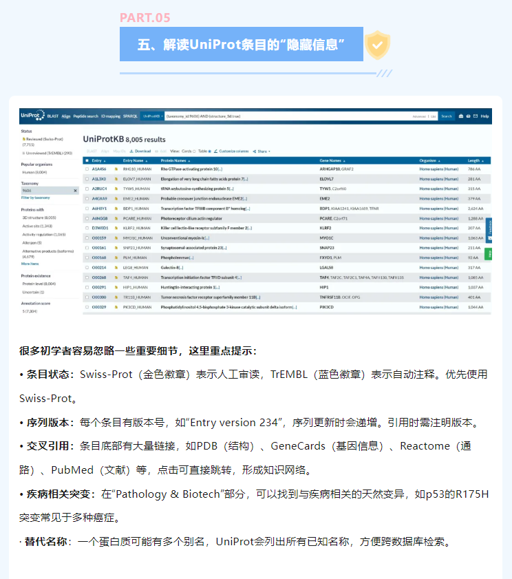 意大利贵宾会-贵宾会官方网站入口