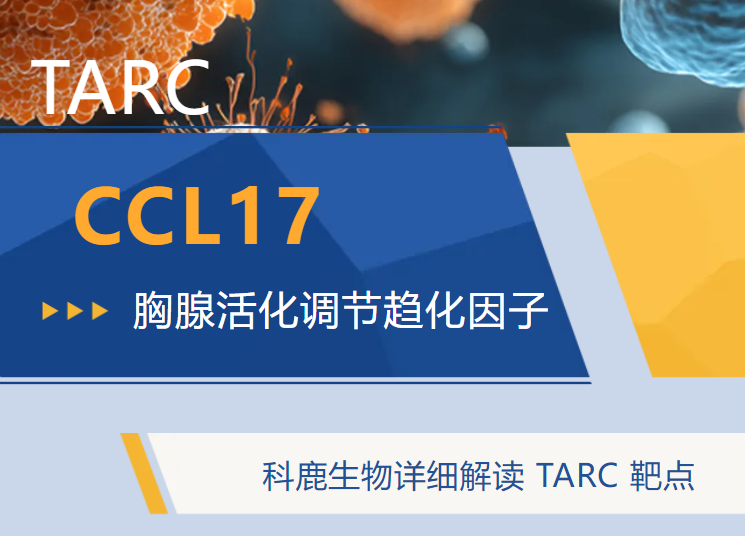 意大利贵宾会-贵宾会官方网站入口