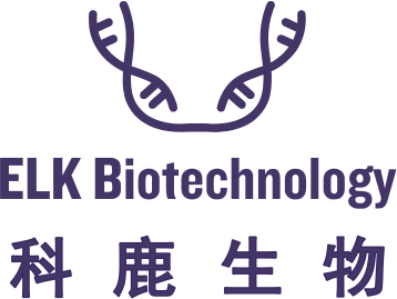 意大利贵宾会-贵宾会官方网站入口