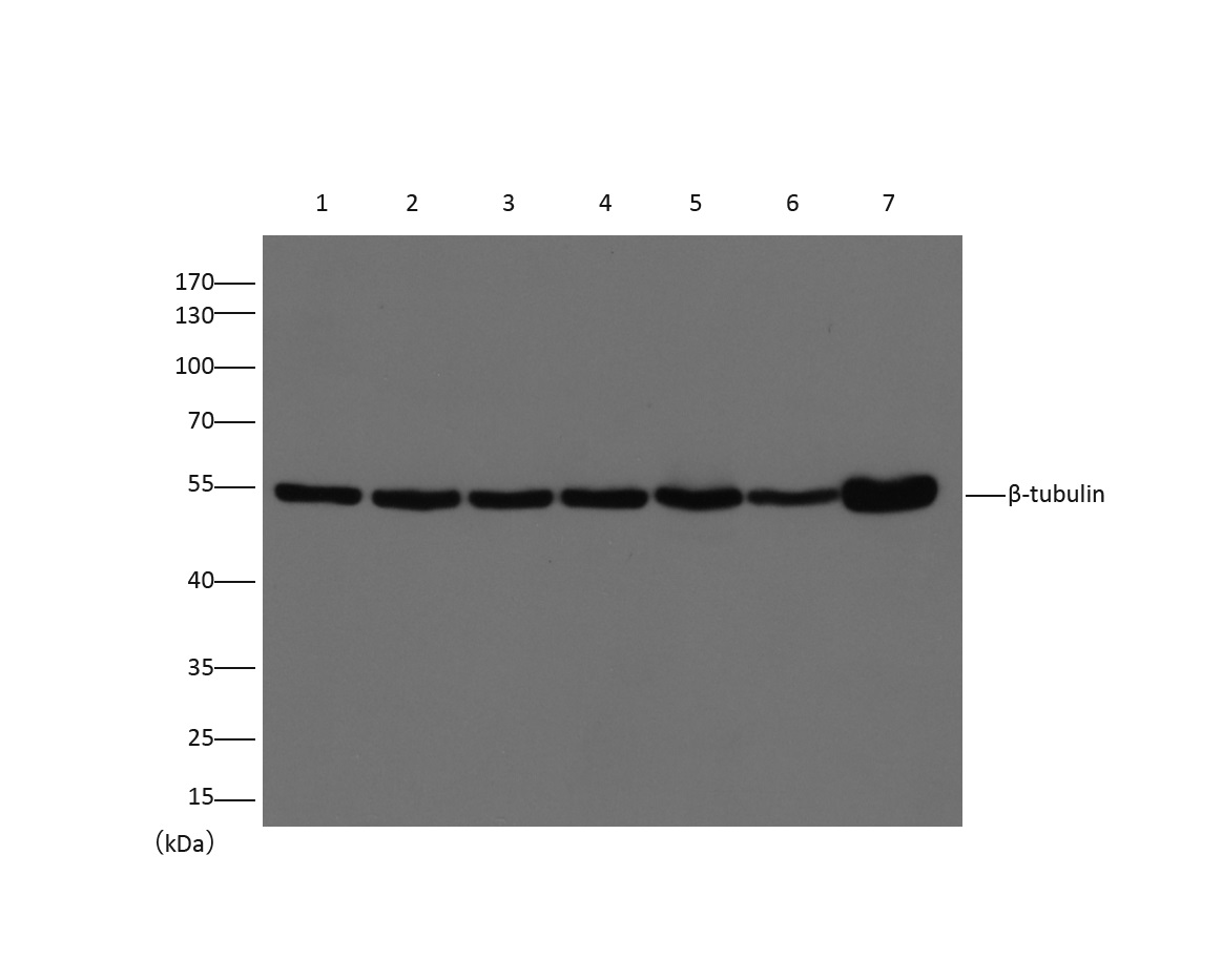 意大利贵宾会-贵宾会官方网站入口