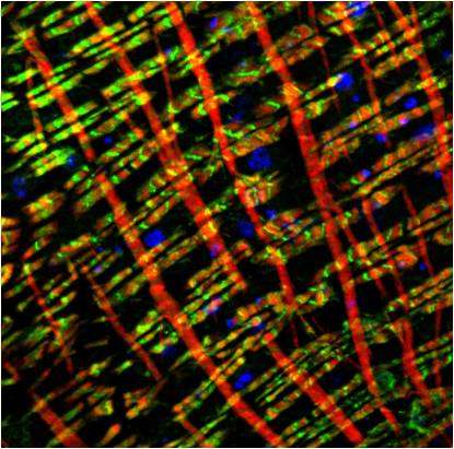 意大利贵宾会-贵宾会官方网站入口