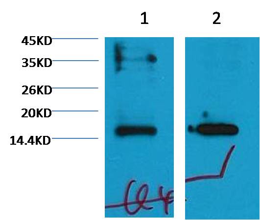 意大利贵宾会-贵宾会官方网站入口