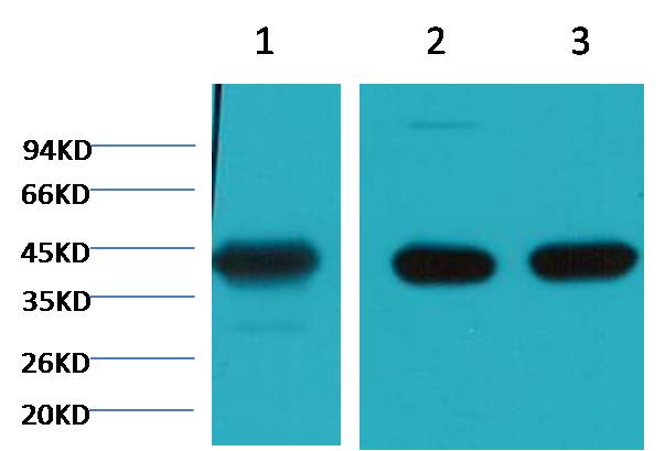 意大利贵宾会-贵宾会官方网站入口