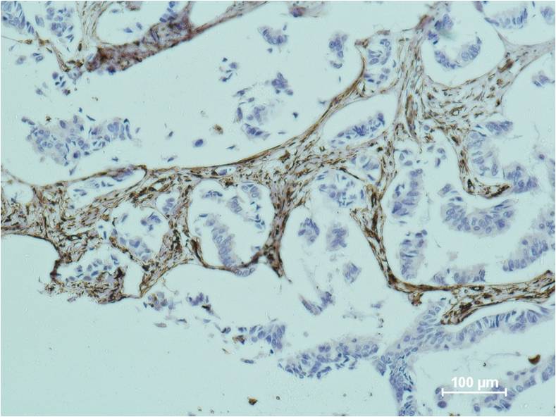 意大利贵宾会-贵宾会官方网站入口