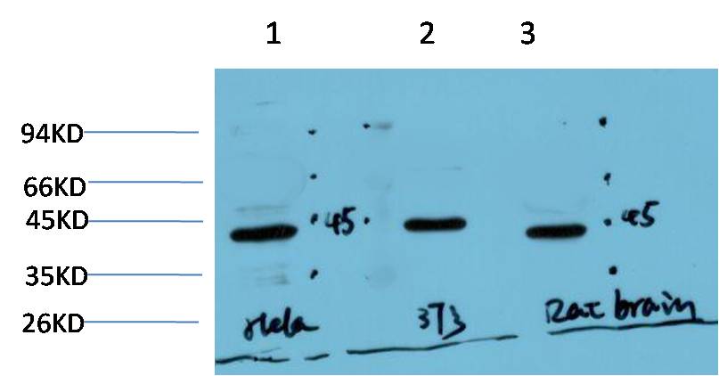 意大利贵宾会-贵宾会官方网站入口