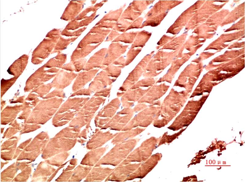 意大利贵宾会-贵宾会官方网站入口