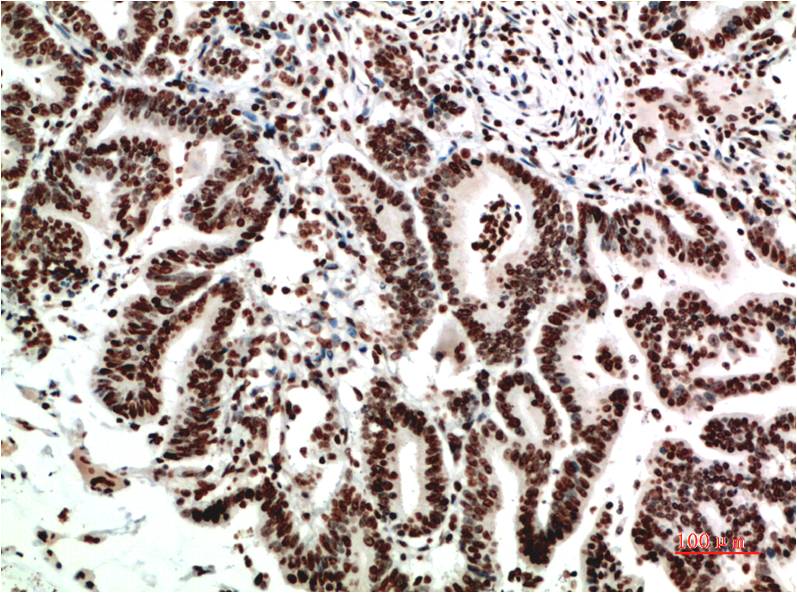 意大利贵宾会-贵宾会官方网站入口