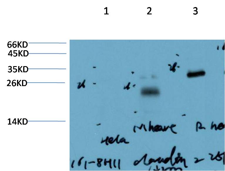 意大利贵宾会-贵宾会官方网站入口