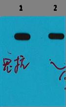 意大利贵宾会-贵宾会官方网站入口