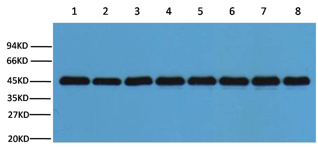 意大利贵宾会-贵宾会官方网站入口