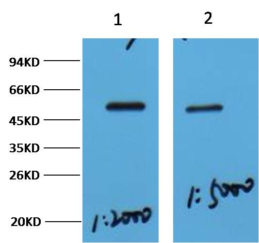 意大利贵宾会-贵宾会官方网站入口