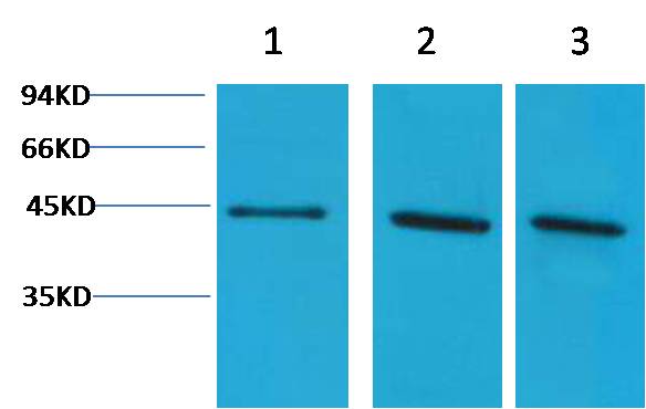 意大利贵宾会-贵宾会官方网站入口