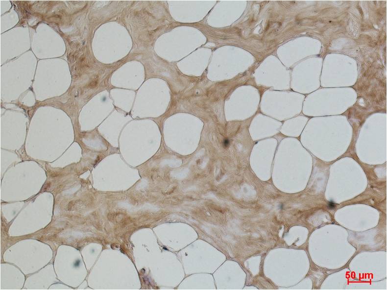 意大利贵宾会-贵宾会官方网站入口