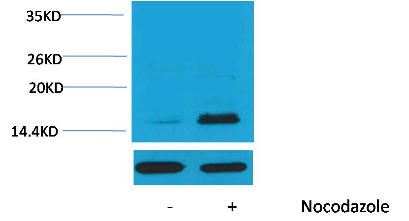 意大利贵宾会-贵宾会官方网站入口