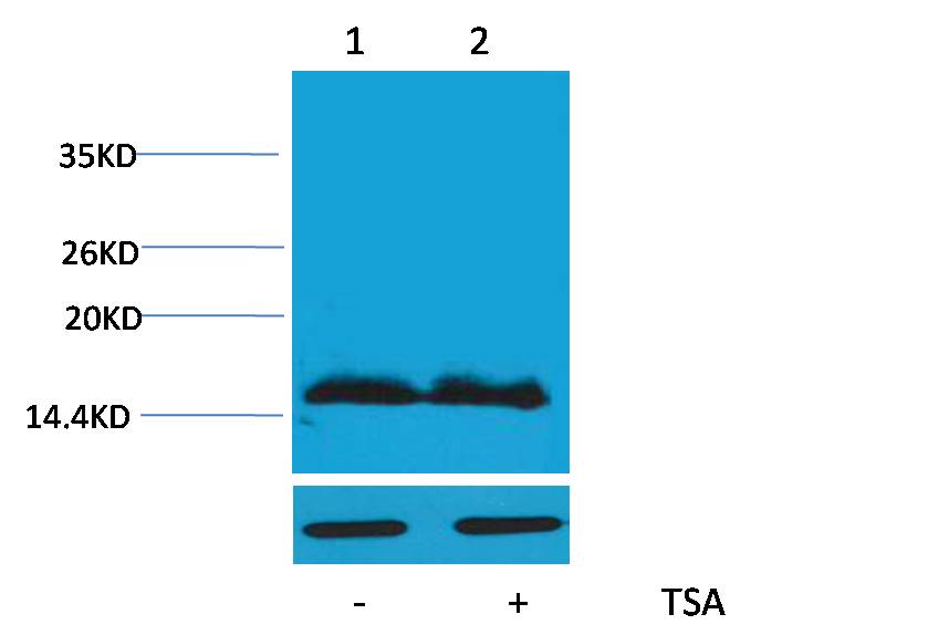 意大利贵宾会-贵宾会官方网站入口