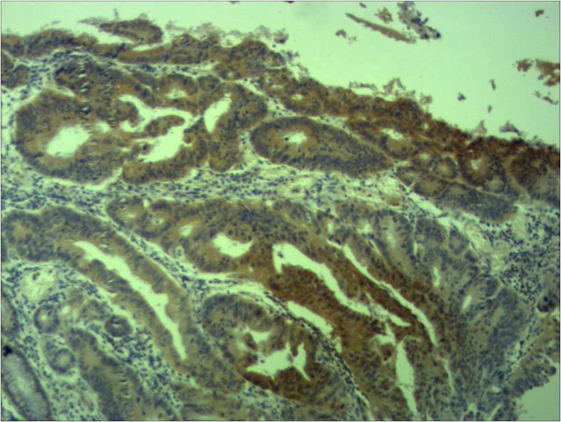 意大利贵宾会-贵宾会官方网站入口