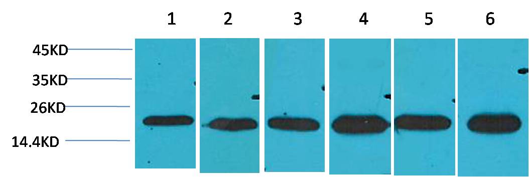 意大利贵宾会-贵宾会官方网站入口