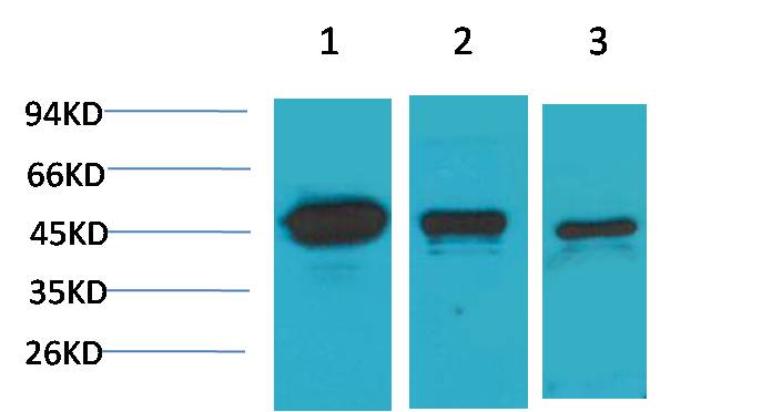 意大利贵宾会-贵宾会官方网站入口
