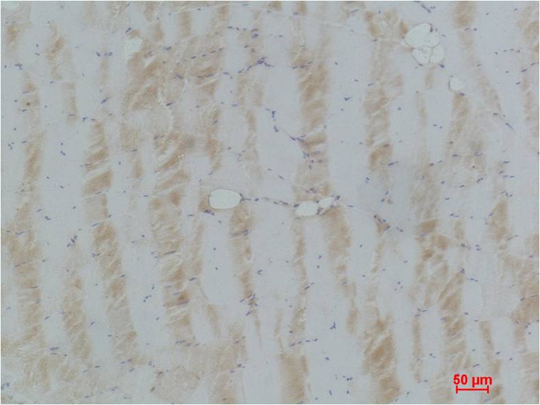 意大利贵宾会-贵宾会官方网站入口