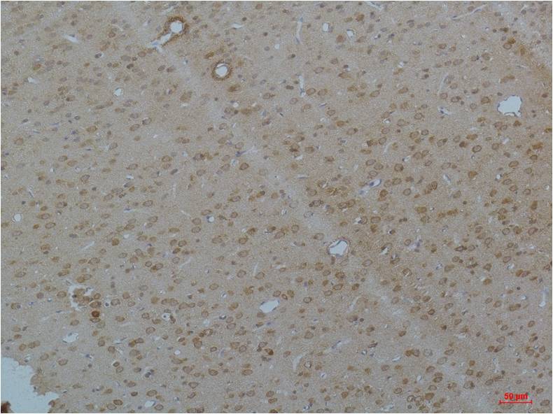 意大利贵宾会-贵宾会官方网站入口