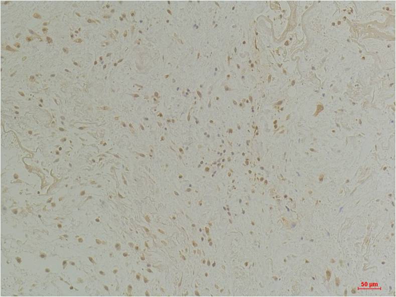 意大利贵宾会-贵宾会官方网站入口