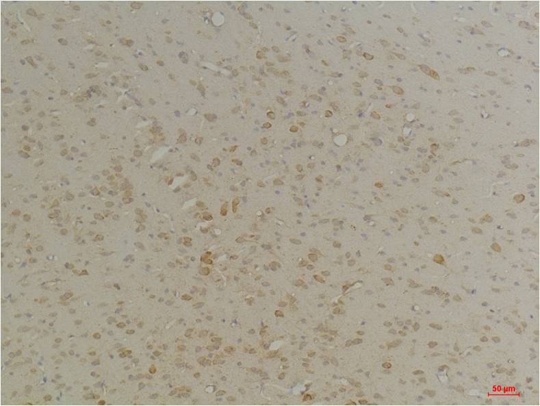 意大利贵宾会-贵宾会官方网站入口