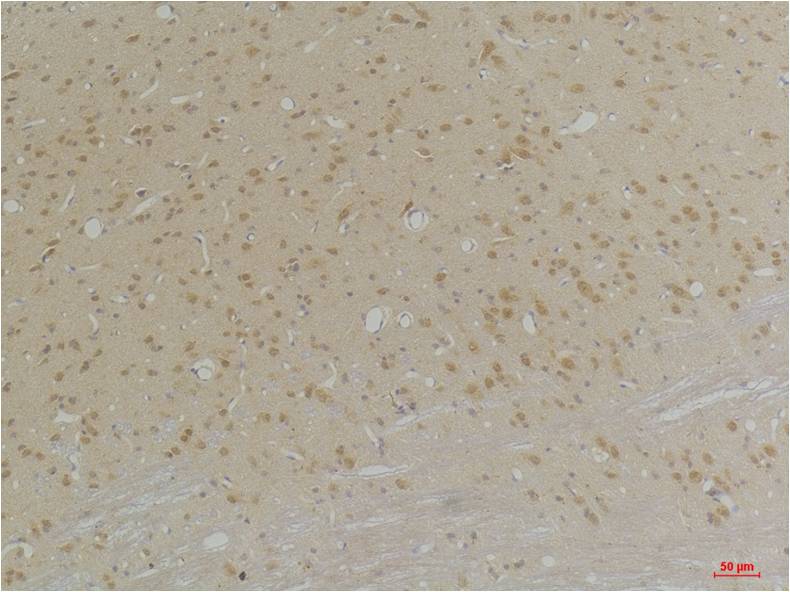 意大利贵宾会-贵宾会官方网站入口