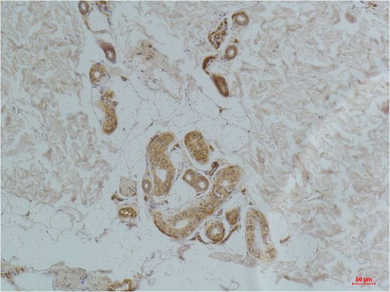 意大利贵宾会-贵宾会官方网站入口
