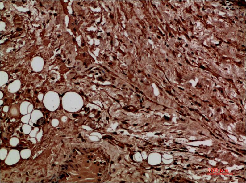 意大利贵宾会-贵宾会官方网站入口