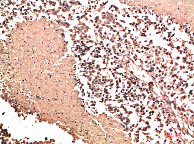 意大利贵宾会-贵宾会官方网站入口
