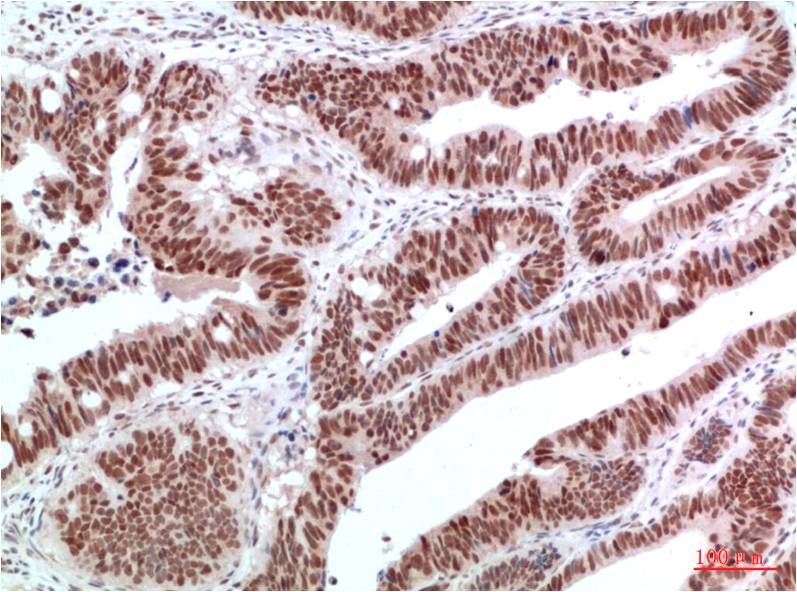 意大利贵宾会-贵宾会官方网站入口